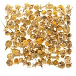 Fleurs de Camomille 50g