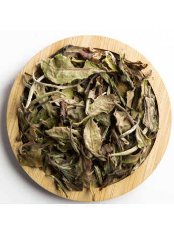 Paï Mu Tan, thé blanc de Chine avec grandes feuilles et bourgeons